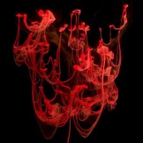 Inspiration for Capillaries triangle bra